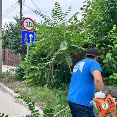 táblát takaró növényzet nyírása