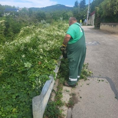 útűrszelvénybe nőtt növényzet nyírása