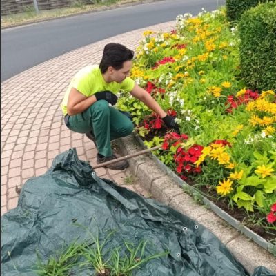 virágágyás gyomlálása