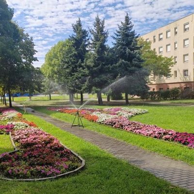 virágágyás öntözése lakótelepen