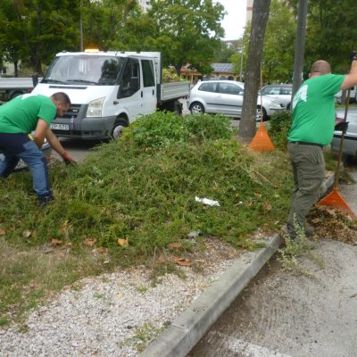 zöldfelület rendezés Ifjúság u-i nagyparkolóban